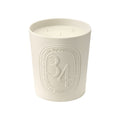 Diptyque 34 Boulevard Saint Germain Candle variant: 21.2 oz (Large) main image