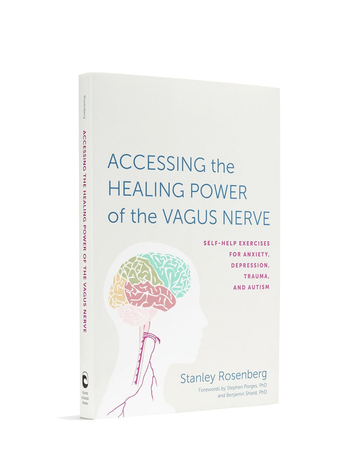 Book cover of Accessing the Healing Power of the Vagus Nerve by Stanley Rosenberg