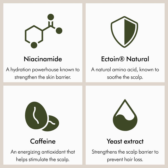 Information related to Dyson Amino Balance & Strengthen Scalp Treatment for Fuller Looking Hair