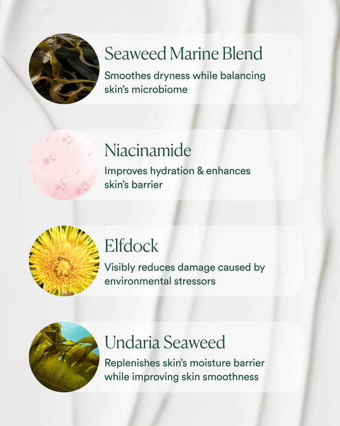 Key ingredients graphic highlighting Seaweed Marine Blend, Niacinamide, Elfdock and Undaria Seaweed for barrier support and microbiome balance