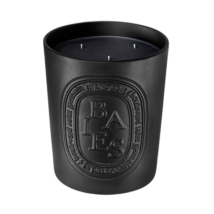 Diptyque Baies (Berries) Candle variant: 51.3 oz (Very Large) main image