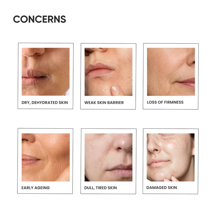 Barrier Restoration Combo Pack Concerns Image