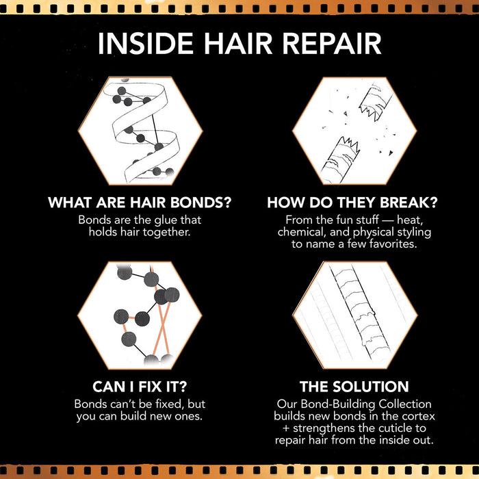 Information related to Bumble and Bumble Bond-Building Repair Conditioner