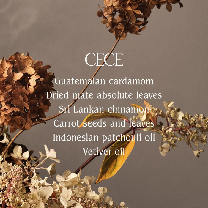 Image of product in the same collection as Homecourt Cece Candle