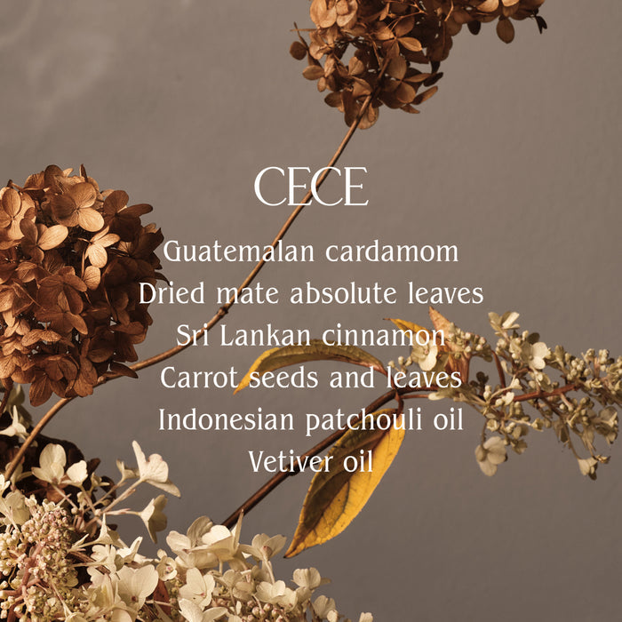 Lifestyle image of Homecourt Cece Exfoliating Hand Wash