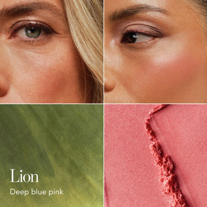 Model image of Chantecaille Cheek Shade Lion Pride