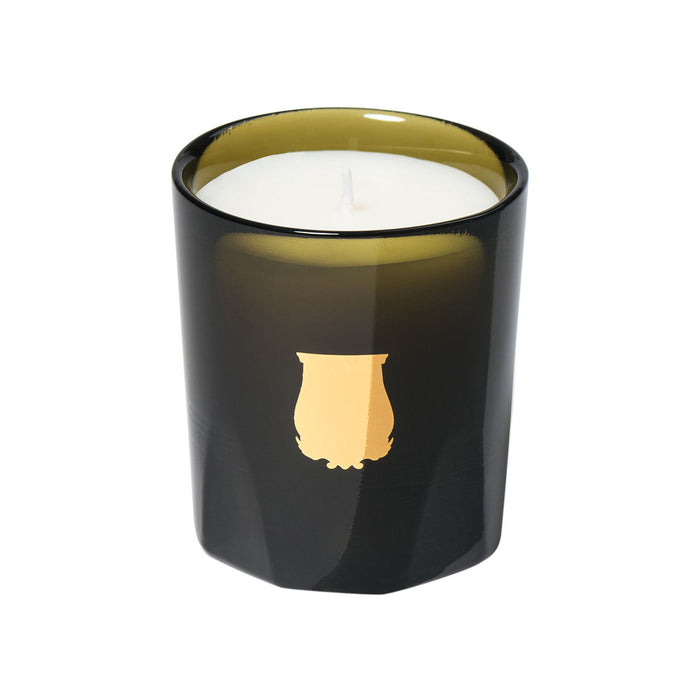Image of an open Trudon Cyrnos Candle variant: 2.5 oz (Petite)