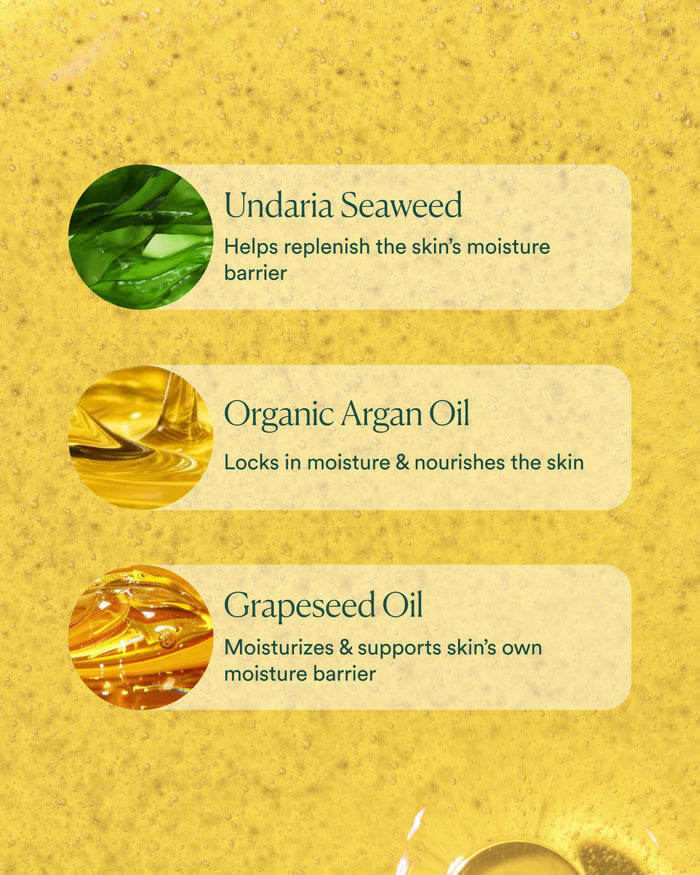 Key ingredients in Dayglow Face Oil: Undaria seaweed, organic argan oil, and grapeseed oil for barrier support