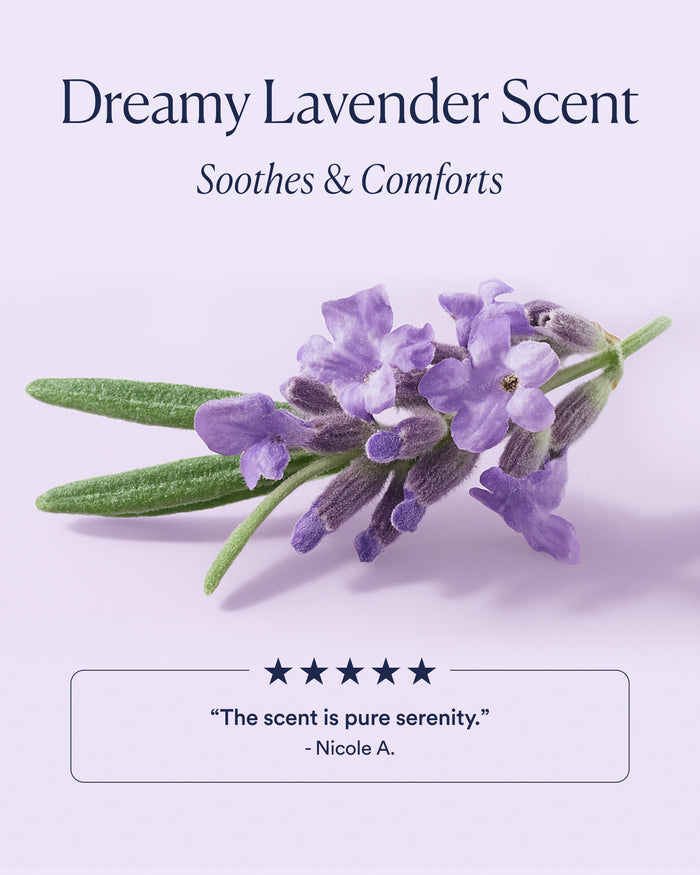 Lavender sprig representing Dream trio’s soothing lavender scent with five-star review quote