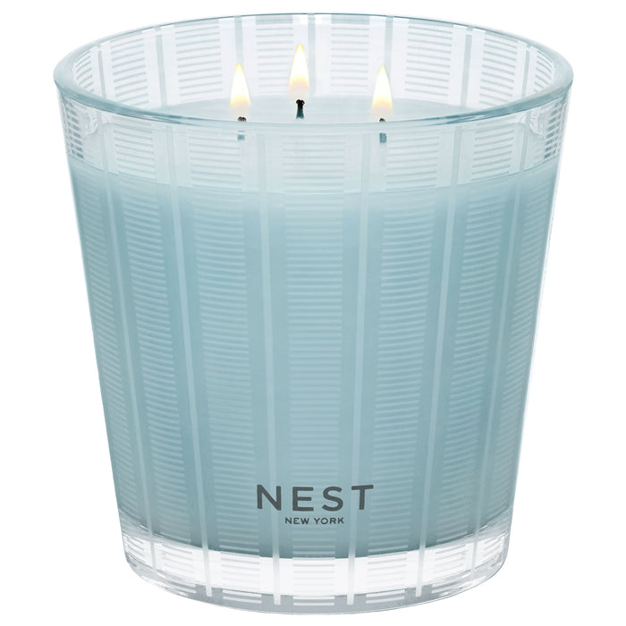 Image of an open Nest Driftwood & Chamomile Candle variant: 21.1 oz (3-Wick)