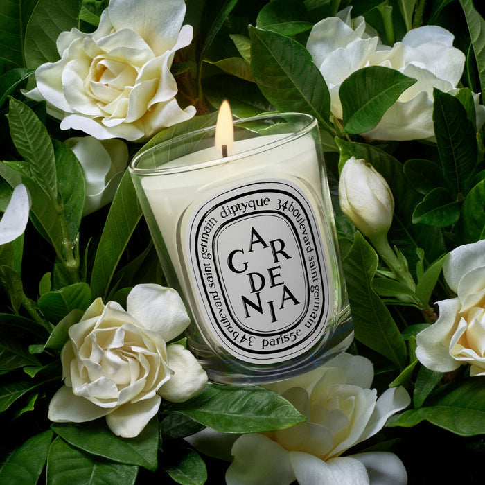 Swatch image of Diptyque Gardenia Classic Candle