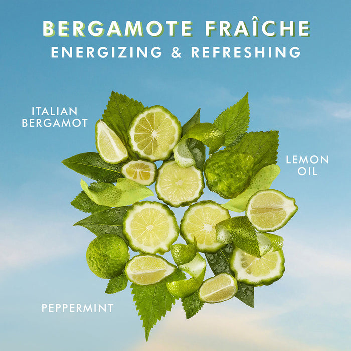 Model image of Moroccanoil Hand Cream Bergamot Frache variant: 3.4 fl oz