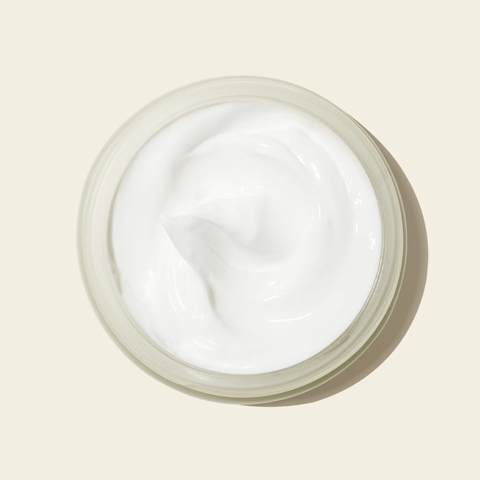 Image of an open Evolvetogether Havana Nutrient Rich Body Cream