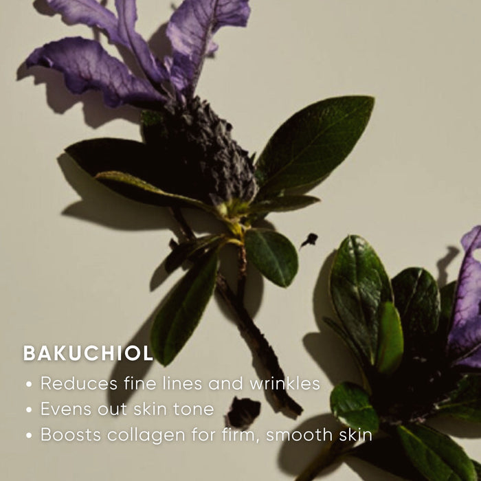 Information related to Plantkos Hydrating Moisturizer