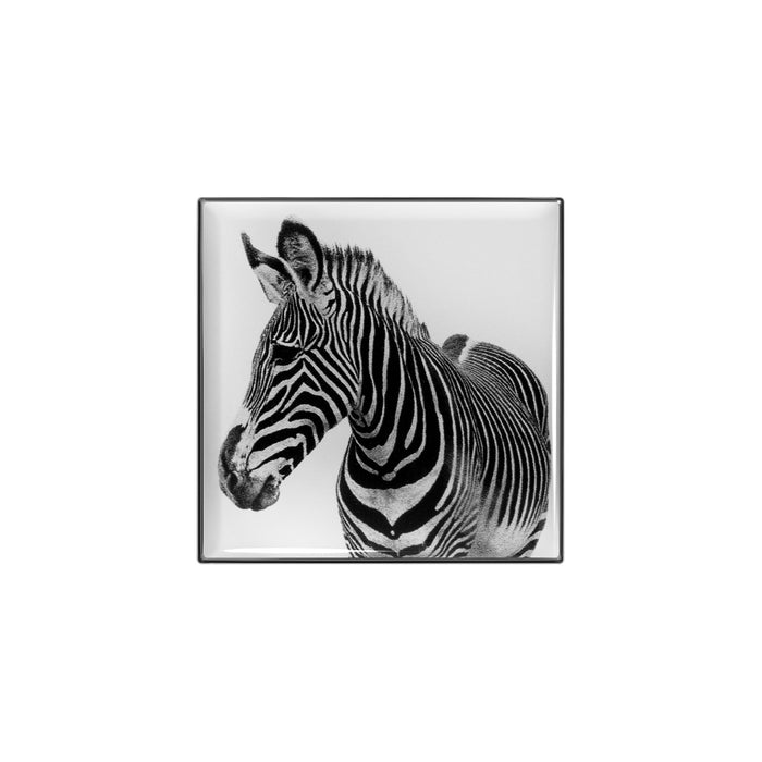 Image of the   variant: Zebra box