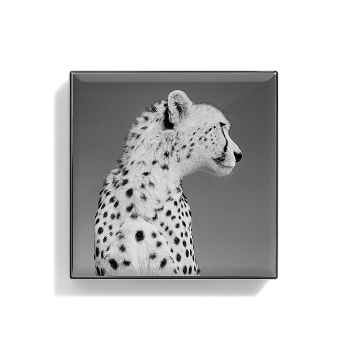 Image of the   variant: Cheetah box