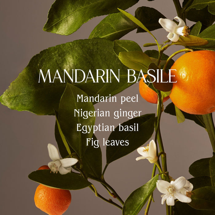 Lifestyle image of Homecourt Mandarin Basile Room Deodorant