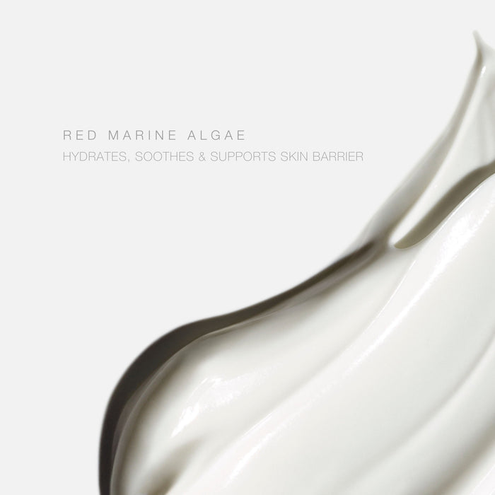 Information related to Hampton Sun Mineral Sunscreen Body Lotion SPF 30