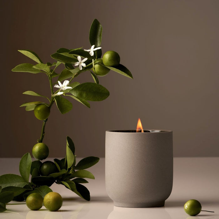 Image of product in the same collection as Homecourt Neroli Leaf Candle