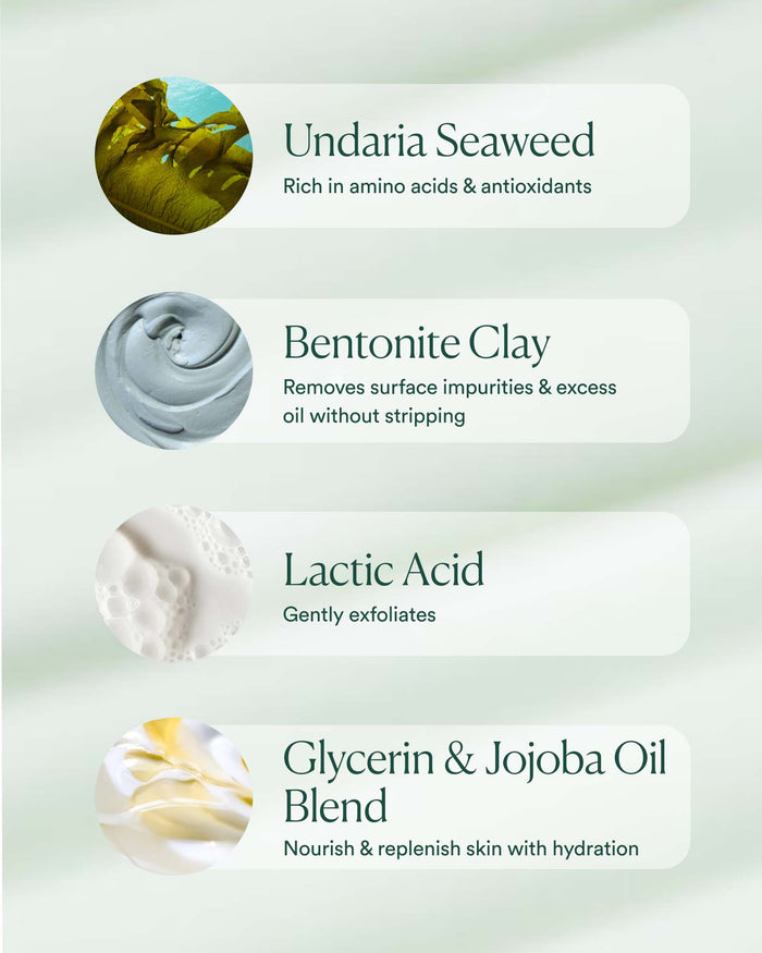 Key ingredients including Undaria seaweed, bentonite clay, lactic acid, and glycerin with jojoba oil for gentle exfoliation and hydration