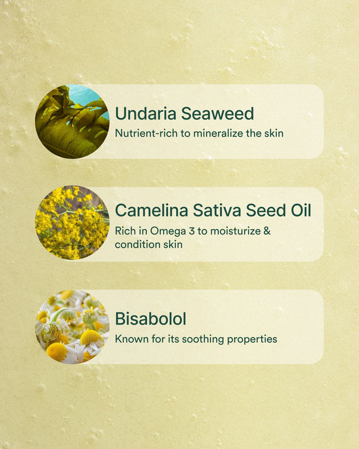 Ingredient highlights featuring Undaria Seaweed, Camelina Sativa Seed Oil, and Bisabolol