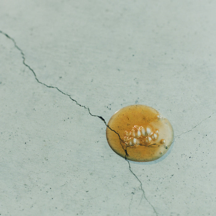 Swatch image of Aesop Parsley Seed Anti-Oxidant Intense Serum