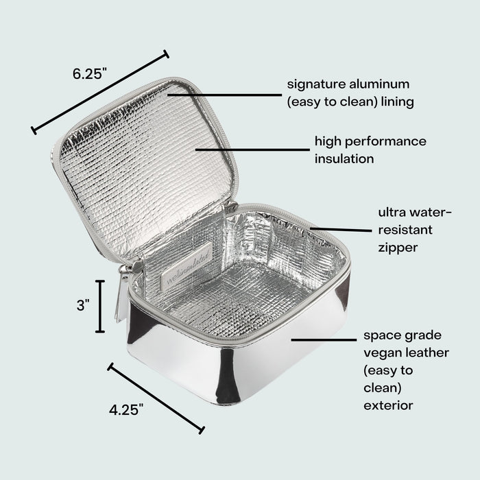 Lifestyle image of Wellinsulated Performance Mini Travel Case variant: Silver