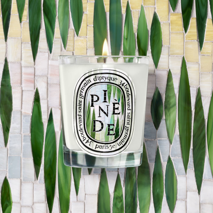 Lifestyle image of  Pinède (Pine Grove) Classic Candle