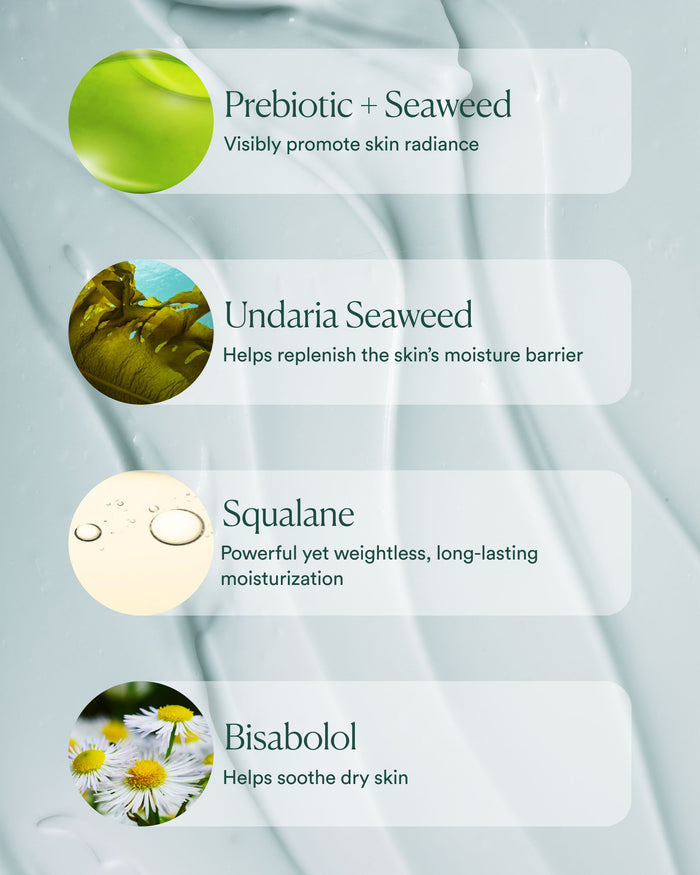 Key ingredients including prebiotic and seaweed complex, Undaria seaweed, squalane, and bisabolol for soothing hydration and barrier support