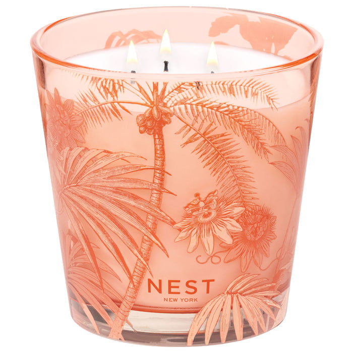 Image of an open   variant: 21.2 oz (3-Wick)
