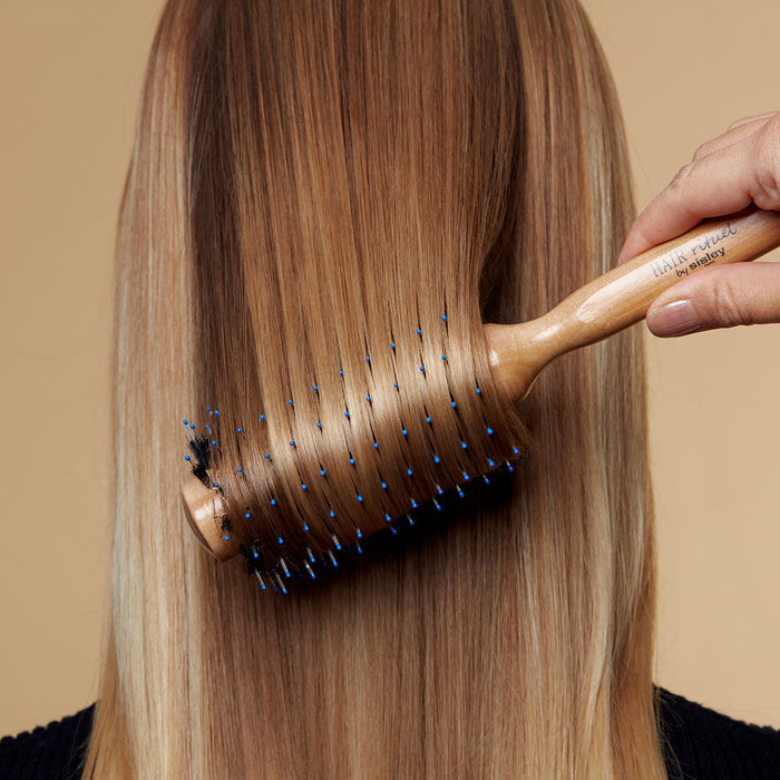 Model image of Sisley Paris The Blow-Dry Brush N°1