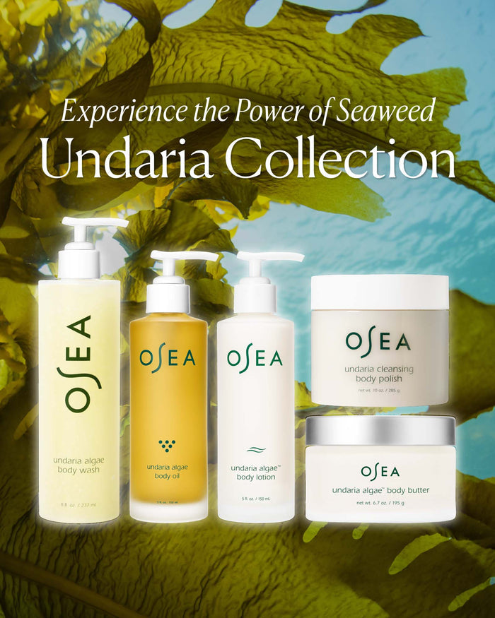 Undaria Algae™ Body Lotion