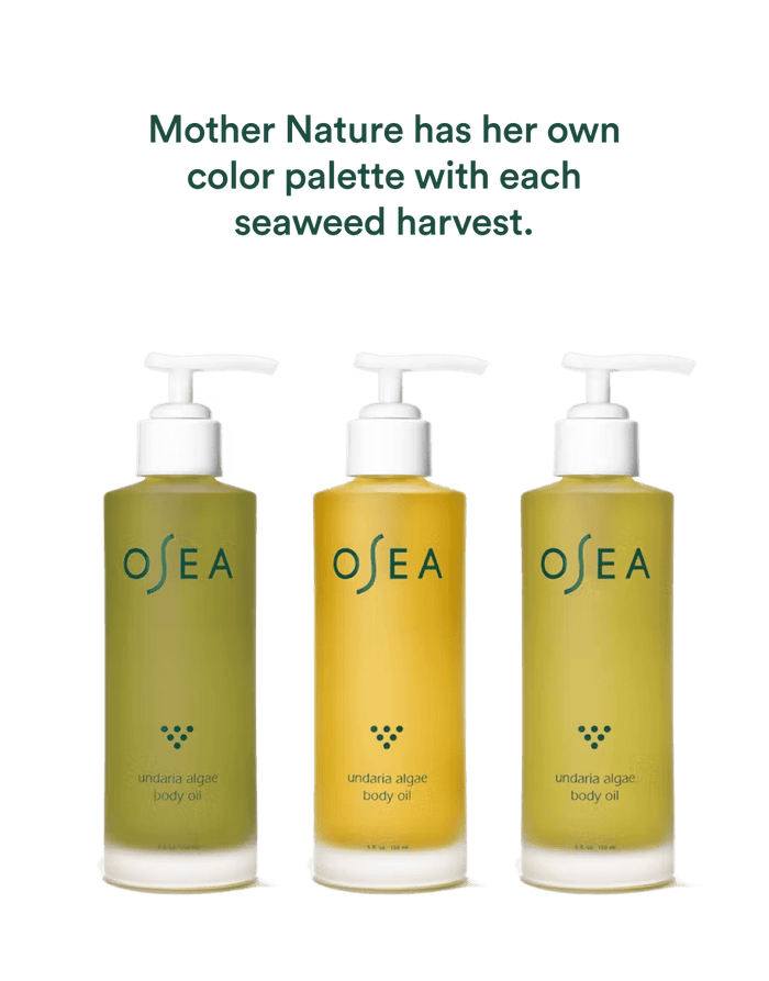 Three Undaria Algae Body Oil bottles showing natural color variation between harvests