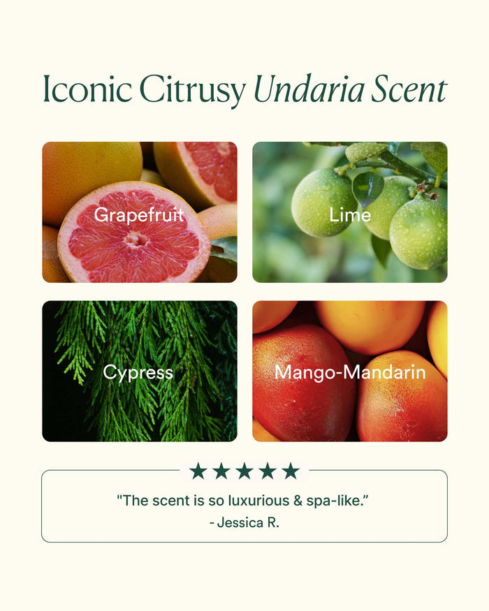Undaria Algae Body Oil bottle highlighting natural golden color from seaweed infusion