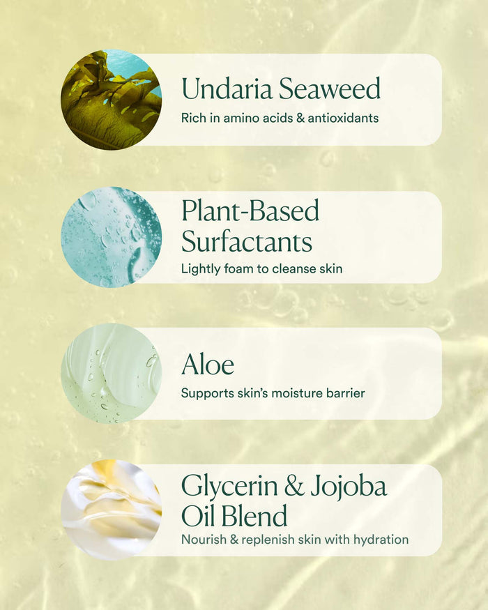 Key ingredients in Undaria Algae Body Wash: Undaria seaweed, plant-based surfactants, aloe, and glycerin jojoba oil blend