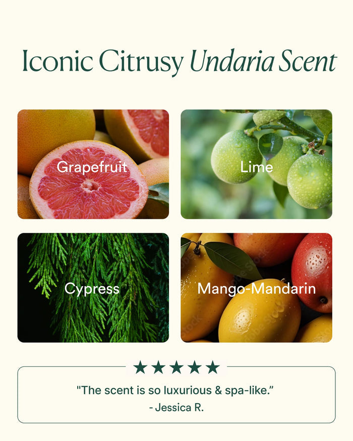 Iconic citrusy Undaria scent ingredients: grapefruit, lime, cypress, and mango-mandarin