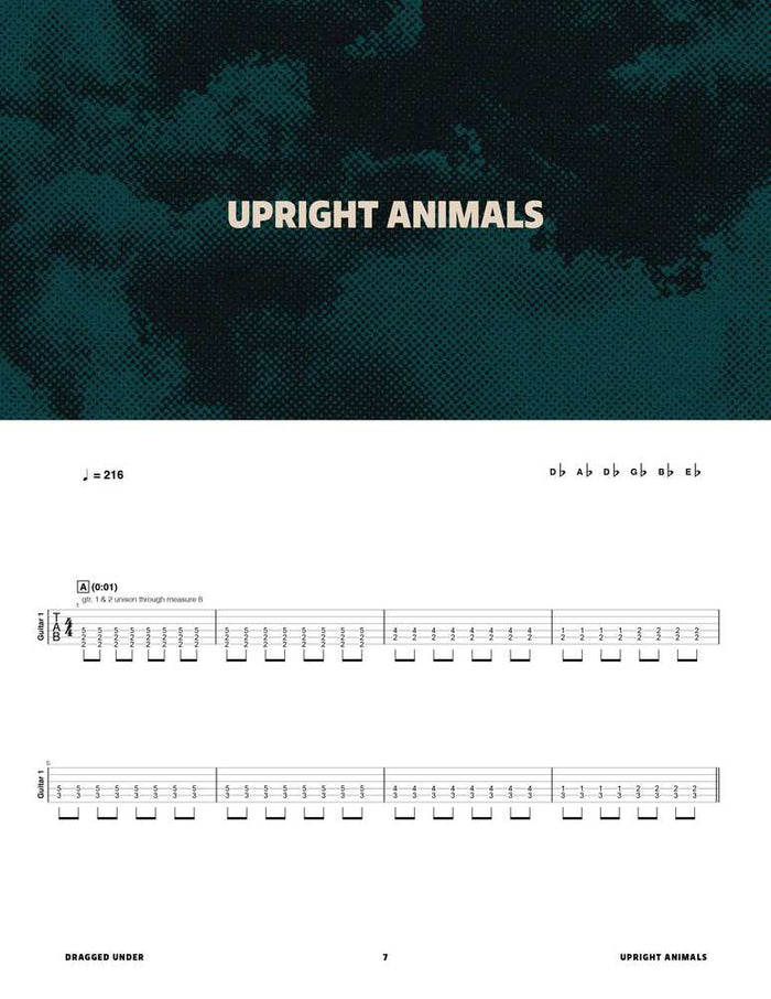 Printed Guitar Book, Digital Guitar Book