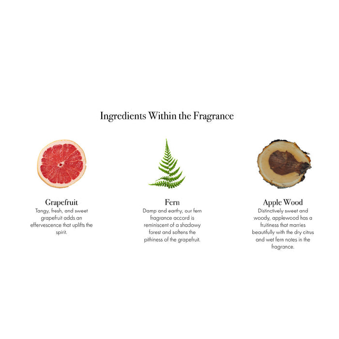 Information related to Lafco White Grapefruit Classic Diffuser