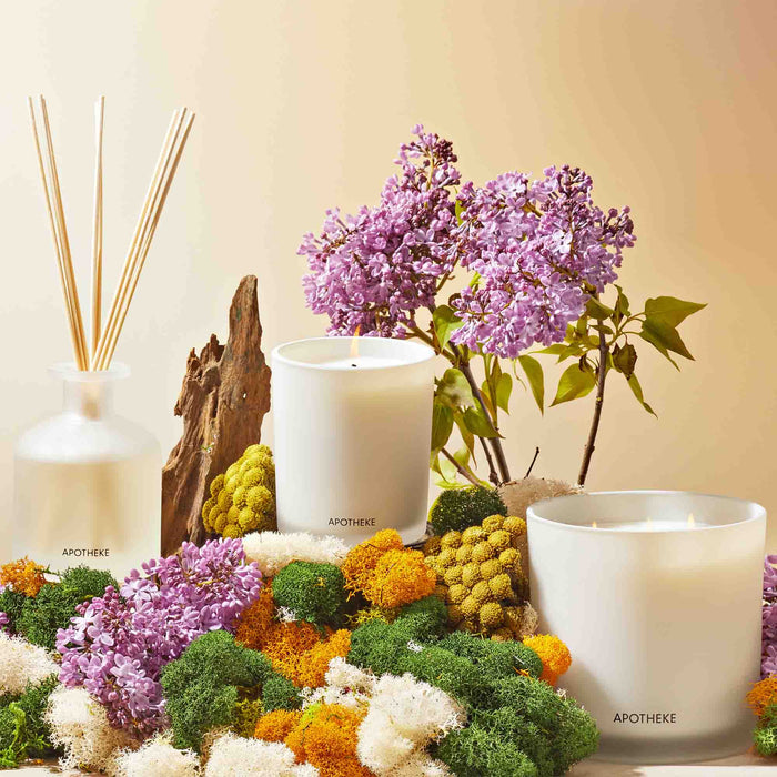Image of product in the same collection as Apotheke White Vetiver Classic Scented Candle