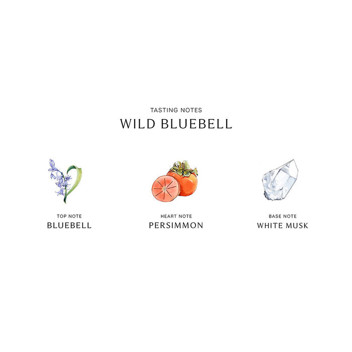 Information related to Jo Malone London Wild Bluebell Body Mist
